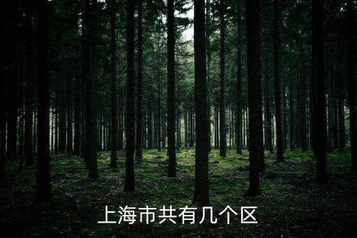 上海幾個區，上海市共有幾個區