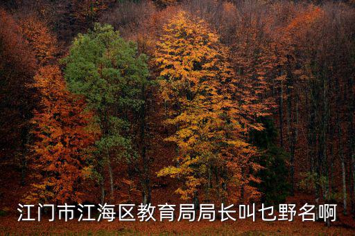 江門市江海區教育局局長叫乜野名啊