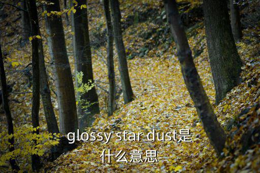 glossy star dust是什么意思