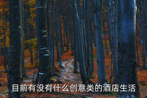 創意酒店，做創意酒店設計做的比較好的公司在成都有嗎