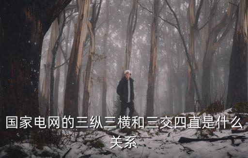 國家電網的三縱三橫和三交四直是什么關系