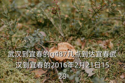 武漢到宜春的g487幾點(diǎn)到達(dá)宜春武漢到宜春的2016年2月21日1528