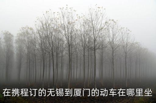 在攜程訂的無錫到廈門的動車在哪里坐
