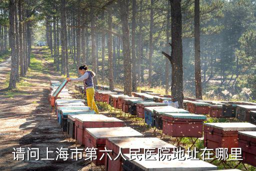 請問上海市第六人民醫(yī)院地址在哪里