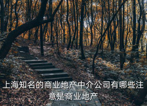 上海知名的商業地產中介公司有哪些注意是商業地產