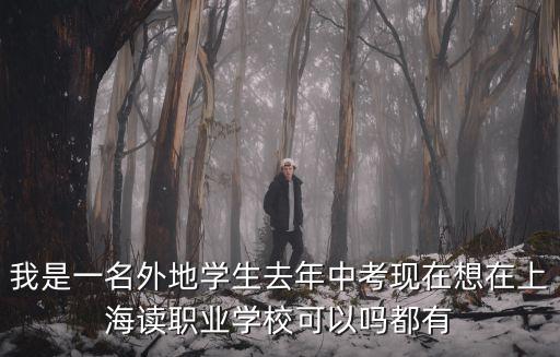 上海職業學校招生，我是一名外地學生去年中考現在想在上海讀職業學校可以嗎都有