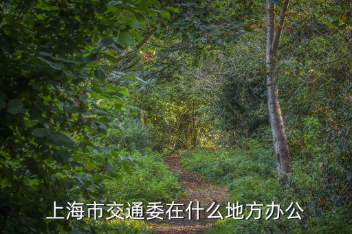 上海市交通委在什么地方辦公