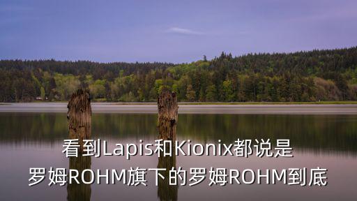 看到Lapis和Kionix都說是羅姆ROHM旗下的羅姆ROHM到底
