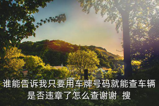 誰能告訴我只要用車牌號碼就能查車輛是否違章了怎么查謝謝  搜