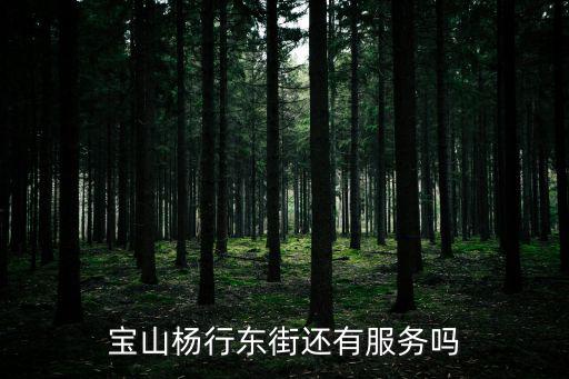 寶山楊行東街還有服務(wù)嗎