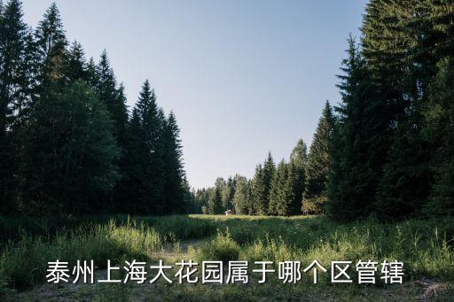 泰州上海大花園屬于哪個區管轄