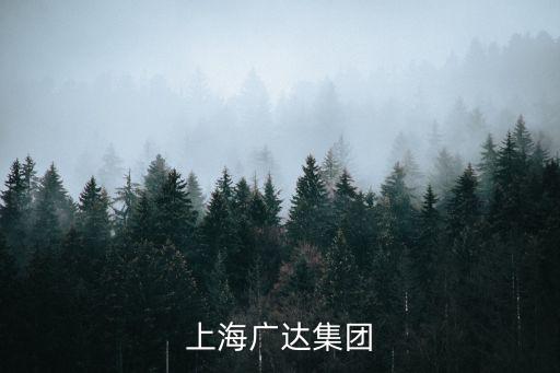 上海廣達集團