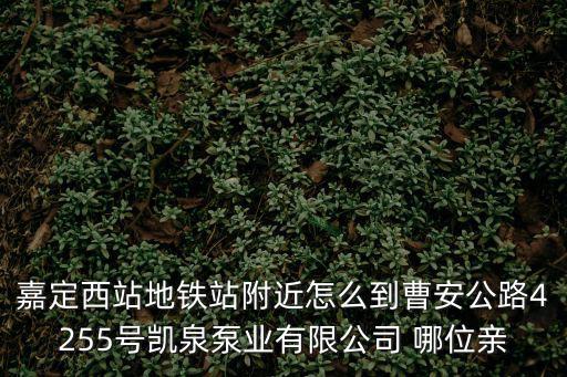 嘉定西站地鐵站附近怎么到曹安公路4255號凱泉泵業有限公司 哪位親