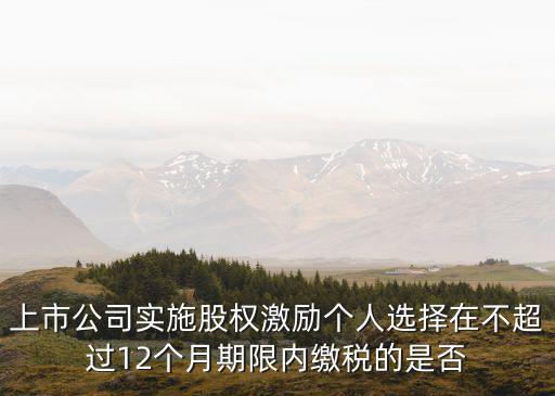 上市公司股權(quán)激勵(lì)管理辦法，上市公司實(shí)施股權(quán)激勵(lì)個(gè)人選擇在不超過12個(gè)月期限內(nèi)繳稅的是否