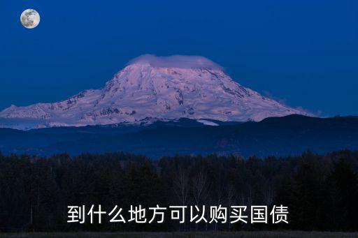 在哪買國債，買國債在哪買