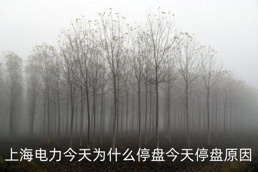 上海電力今天為什么停盤今天停盤原因