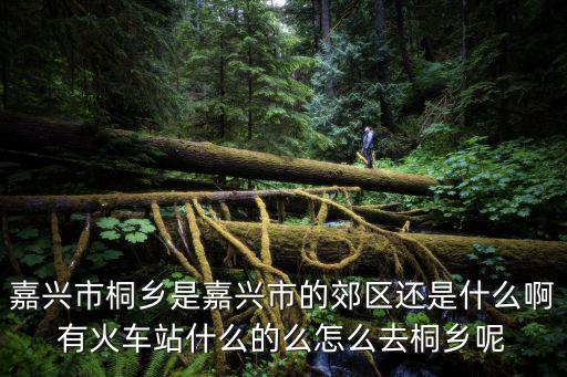 嘉興市桐鄉(xiāng)市天氣，桐鄉(xiāng)今天天氣怎么樣