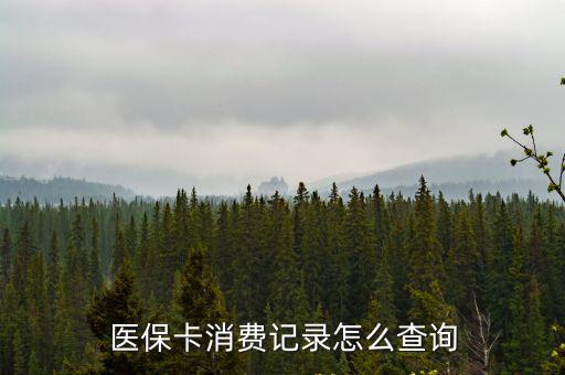 醫保卡消費記錄怎么查詢，怎么查詢醫保卡消費記錄查詢醫保卡消費記錄方法