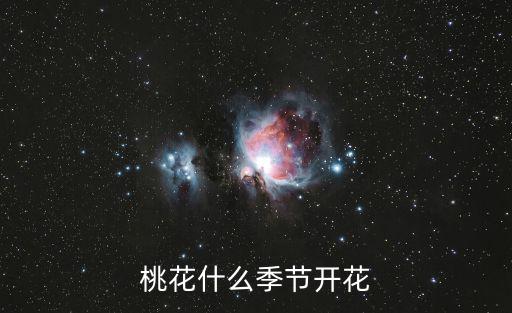 桃花什么季節開花