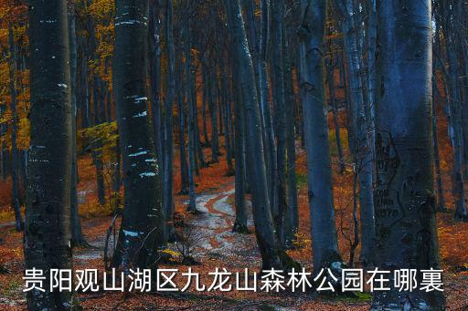 貴陽觀山湖區九龍山森林公園在哪裏