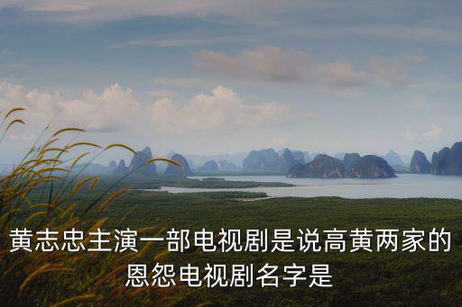 高黃，黃志忠主演一部電視劇是說高黃兩家的恩怨電視劇名字是