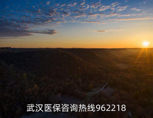 武漢醫保咨詢熱線962218