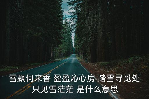 雪飄香，雪飄代表什么