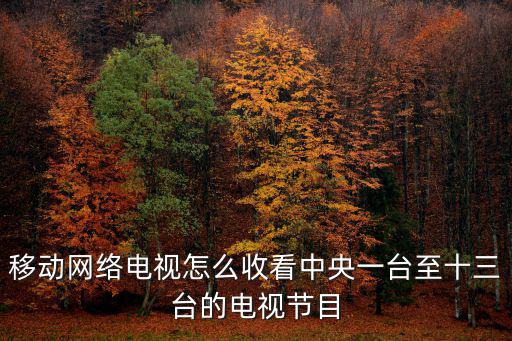 cctv1電視直播，求能看中央一臺的電視直播軟件