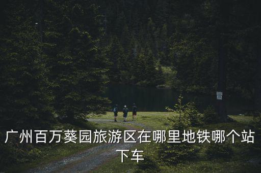 南沙百萬葵園，廣州百萬葵園旅游區(qū)在哪里地鐵哪個站下車
