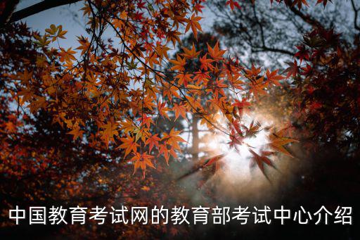 nect中國(guó)教育考試網(wǎng)，hao123有一個(gè)全國(guó)教育網(wǎng)的網(wǎng)址地圖