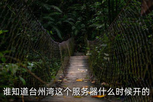 誰知道臺州灣這個服務器什么時候開的