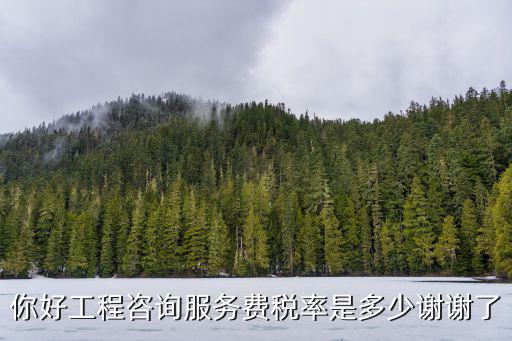 你好工程咨詢服務費稅率是多少謝謝了