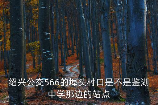 紹興公交566的埠頭村口是不是鑒湖中學那邊的站點