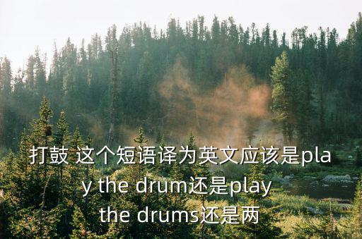 打鼓 這個短語譯為英文應該是play the drum還是play the drums還是兩
