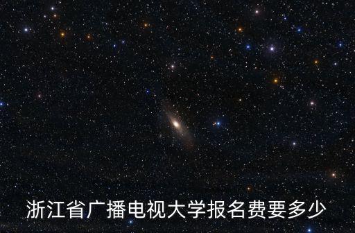 浙江衛視費費，浙江衛視中國藍爽食贏天下的費費叫什么