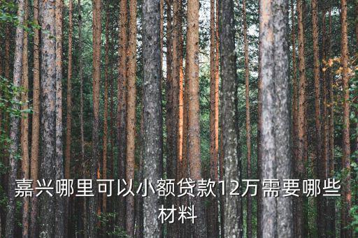 嘉興哪里可以小額貸款12萬需要哪些材料