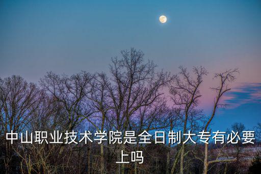 中山職業學院，中山職業技術學院