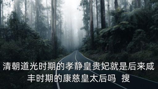 清朝道光時期的孝靜皇貴妃就是后來咸豐時期的康慈皇太后嗎  搜