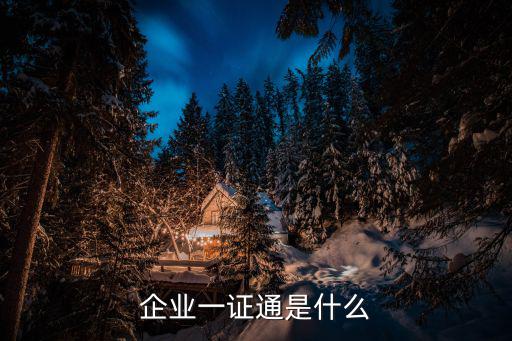 企業一證通是什么