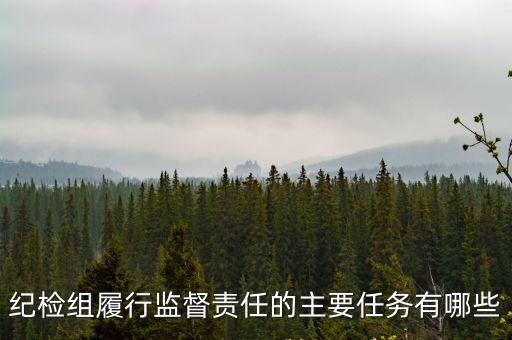 紀(jì)檢組履行監(jiān)督責(zé)任的主要任務(wù)有哪些