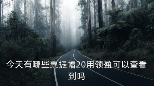 今天有哪些票振幅20用領盈可以查看到嗎