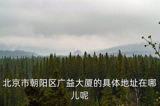 廣益大廈，北京西城區廣安門內廣義街廣益大廈a座1122的郵政編碼