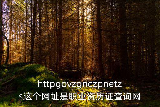 httpgovzgnczpnetzs這個網址是職業資歷證查詢網