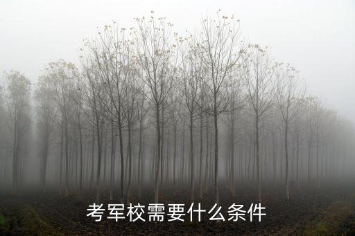 考軍校需要什么條件
