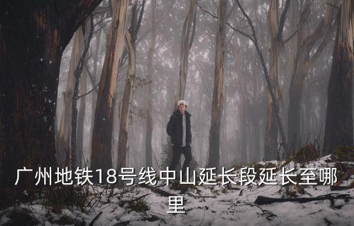 廣州地鐵18號線最新線路圖，廣州18號線地鐵線路圖最新華南快線在哪里