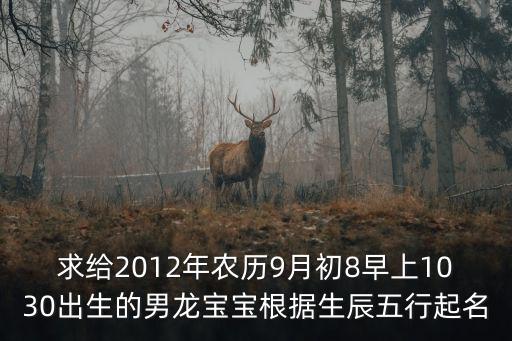 求給2012年農歷9月初8早上1030出生的男龍寶寶根據生辰五行起名