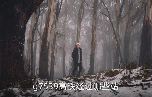 g7339，g7539高鐵經過哪些站