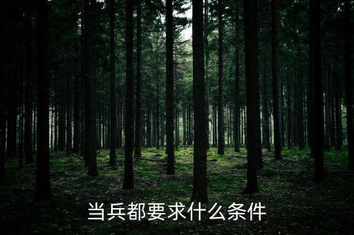 當兵都要求什么條件