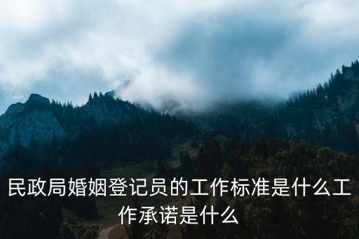 民政局婚姻登記員的工作標準是什么工作承諾是什么
