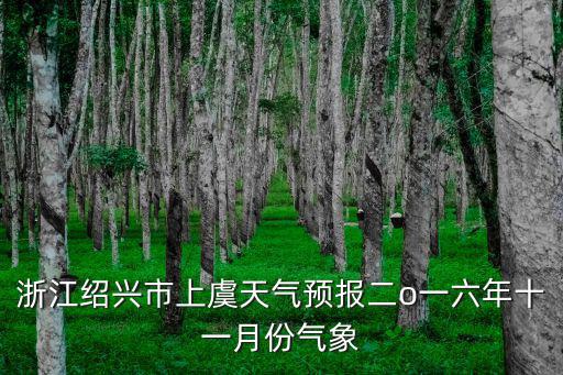 浙江紹興市上虞天氣預(yù)報(bào)二o一六年十一月份氣象